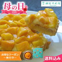 母の日2025 遅れてごめんね ギフト 銀座千疋屋 銀座タルト(マンゴー) 直径15cm ※4/30 15:01以降の注文は5/12以降順次出荷