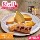 母の日2025 ギフト 銀座千疋屋 銀座フルーツガトー 6種12個入 銀座千疋屋 焼き菓子 クーヘン フィナンシェ