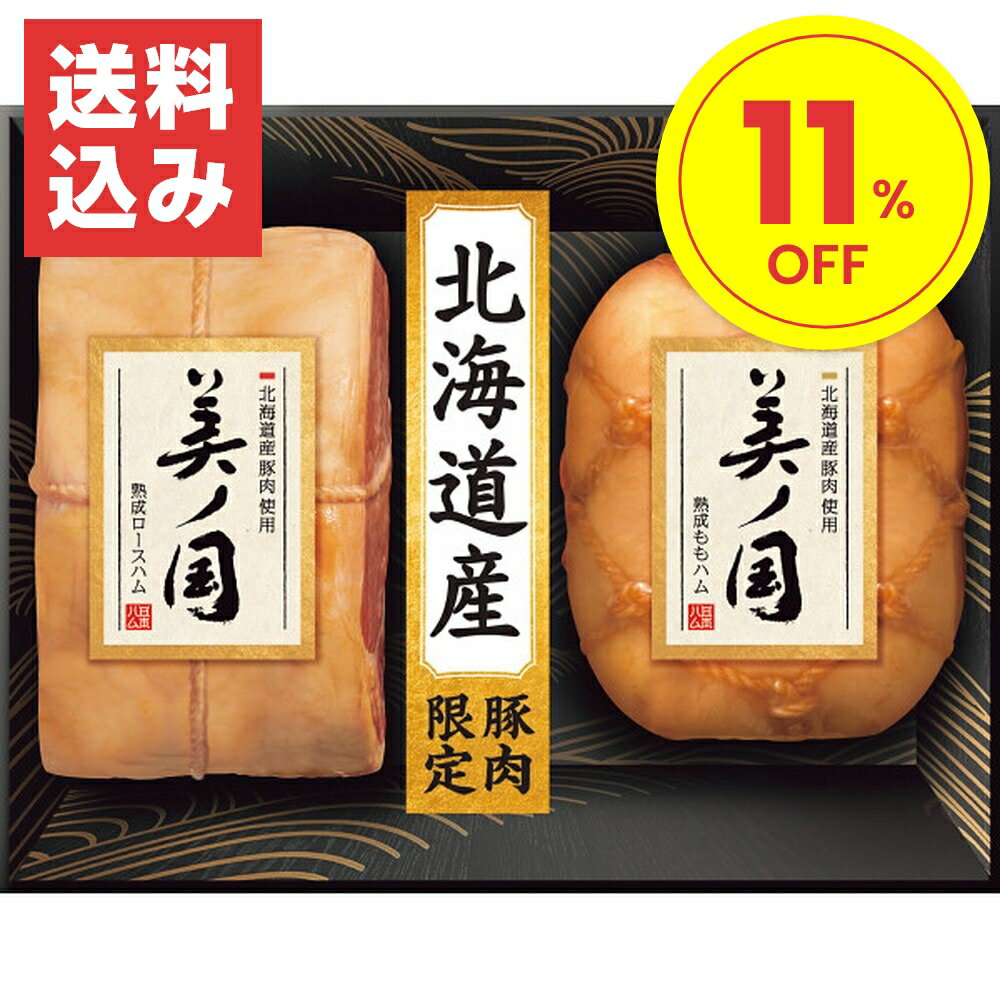 ハムギフト お中元 ギフト 2024 日本ハム 北海道産豚肉使用 美ノ国 2種2点入 UKH-55 ハム はむ 惣菜 セット 詰合せ 贈答