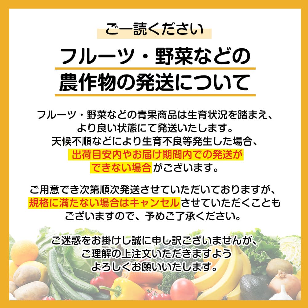 200円OFFクーポン お中元 ギフト 2025 7月20日頃〜8月10日頃お届け予定 北海道赤肉メロンとハウスみかん メロン1玉・ハウスみかん10玉入 御中元 夏ギフト フルーツ セット 詰め合わせ