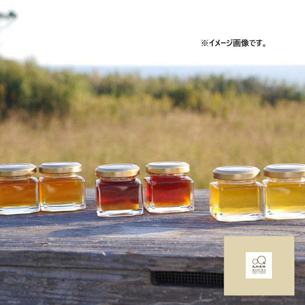 200円OFFクーポン お中元 ギフト 2025 愛知県田原産 CRAFT HONEY 3個入 御中元 夏ギフト はちみつ ハチミツ 蜂蜜