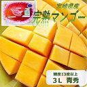お中元 ギフト 2025 7月限定 完熟マンゴー 宮崎県産 中玉3L 等級青秀 糖度13度以上 御中元 夏ギフト