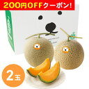 200円OFFクーポン お中元 ギフト 2025 シロクマスイート 北海道大玉赤肉メロン 2玉入 計3.2kg 御中元 夏ギフト フルーツ メロン