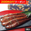200円OFFクーポン お中元 ギフト 2025 大森淡水 国産うなぎ蒲焼 長焼 3尾入 計360g 御中元 夏ギフト 鰻 うなぎ 魚 蒲焼き