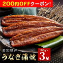 200円OFFクーポン お中元 ギフト 2025 愛知県産うなぎ蒲焼 約100g×3尾入 タレ・山椒付 御中元 夏ギフト 鰻 うなぎ 魚 蒲焼き