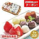 200円OFFクーポン お中元 ギフト 2025 ひとくちアイスセット 5種33粒入 御中元 夏ギフト アイス アイスクリーム