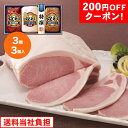200円OFFクーポン お中元 ギフト 2025 丸大食品 煌彩 3種3個入 MV-383 御中元 夏ギフト セット 詰め合わせ 肉 ハム