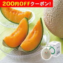 200円OFFクーポン お中元 ギフト 2025 北海道産 夕張メロン 1玉 御中元 夏ギフト フルーツ メロン