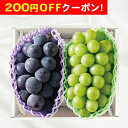 200円OFFクーポン お中元 ギフト 2025 ピオーネ&シャインマスカット 各1房 計約700g 御中元 夏ギフト フルーツ ぶどう