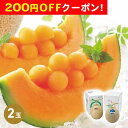 200円OFFクーポン お中元 ギフト 2025 北海道産夕張メロン&北海道産富良野メロンセット 計2玉 御中元 夏ギフト フルーツ メロン
