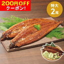 200円OFFクーポン お中元 ギフト 2025 四万十うなぎ蒲焼 特大2尾セット タレ・山椒付 御中元 夏ギフト 鰻 うなぎ 魚 蒲焼き