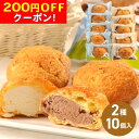 200円OFFクーポン お中元 ギフト 2025 乳蔵 北海道シュー10個セット 2種入 御中元 夏ギフト お菓子 スイーツ 洋菓子 北海道