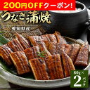200円OFFクーポン お中元 ギフト 2025 愛知県産 うなぎ蒲焼 カットタイプ 2食入 御中元 夏ギフト 鰻 うなぎ 魚 蒲焼き