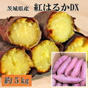 お歳暮 ギフト 2023 茨城県産 紅はるかDX 約18～22本 計約5kg 紅芋 さつまいも 焼き芋 セット 詰合せ 贈答品