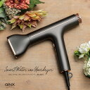 Smart Water ion Hairdryer スマートウォーターイオンヘアドライヤー AX-HD1 ヘアドライヤー ウォーターイオン 軽い 大風量 AINX