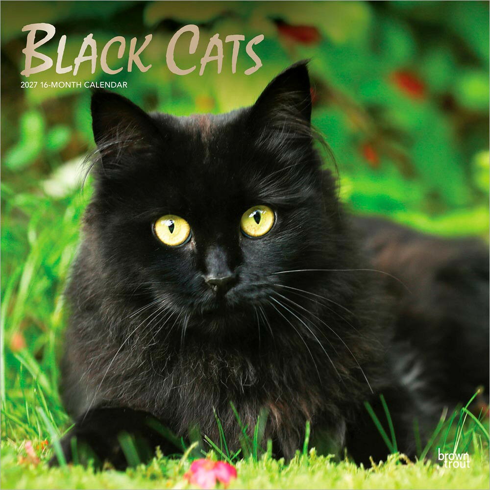 BrownTrout(ブラウントラウト) 輸入版 2027年 黒猫 カレンダー 壁掛け ブラックキャット ブラウントラウト ZB-117652027年版アメリカ・ブラウントラウト(BrownTrout)社製、黒猫をテーマにした輸入壁掛けカレンダーです。つややかな毛並みや印象的な瞳、のびのび過ごす姿など、黒猫ならではの神秘的で愛らしい魅力を毎月楽しめます。黒猫好き、猫好きの方へのギフトにもぴったりです。お部屋に癒しと存在感を添えてくれます。開いたサイズは61×30.5cmです。予定を書き込みやすい月別レイアウトで、実用性と鑑賞性を兼ね備えています。海外仕様のため日本の祝日名は掲載されていません。商品説明メーカーBrownTrout Publishers使用時のサイズ61x30.5cm言語英語日本の祝日表記なし■ 送料・本商品は、送料が発生します。・本商品は、沖縄県・その他離島へお届けの場合、追加送料が発生します■ 配送・本商品は、お届け日時のご指定が出来ません。■ 備考・商品画像は、お使いのモニターの指定や閲覧環境、お部屋の照明などにより実際の商品と色味が異なる場合がございます。あらかじめご了承のうえお買い求めください。 ・品質向上やデザイン変更などにより、予告なくパッケージ・取扱説明書の内容などが変更になる場合がございます。