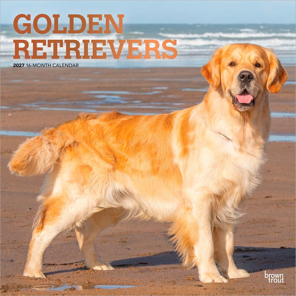 BrownTrout(ブラウントラウト) 輸入版 2027年 ゴールデン・レトリバー カレンダー 壁掛け 犬 ブラウントラウト ZB-124722027年版アメリカ・ブラウントラウト(BrownTrout)社製、ゴールデン・レトリバーをテーマにした輸入壁掛けカレンダーです。明るい毛色、やさしい表情、ビーチや自然の中で過ごす姿など、ゴールデン・レトリバーらしい魅力を毎月楽しめます。ゴールデン好き、レトリバー好き、愛犬家の方へのギフトにもおすすめです。お部屋に温かな雰囲気を添えます。開いたサイズは61×30.5cmです。予定を書き込みやすい月別レイアウトで、実用性と鑑賞性を兼ね備えています。海外仕様のため日本の祝日名は掲載されていません。商品説明メーカーBrownTrout Publishers使用時のサイズ61x30.5cm言語英語日本の祝日表記なし■ 送料・本商品は、送料が発生します。・本商品は、沖縄県・その他離島へお届けの場合、追加送料が発生します■ 配送・本商品は、お届け日時のご指定が出来ません。■ 備考・商品画像は、お使いのモニターの指定や閲覧環境、お部屋の照明などにより実際の商品と色味が異なる場合がございます。あらかじめご了承のうえお買い求めください。 ・品質向上やデザイン変更などにより、予告なくパッケージ・取扱説明書の内容などが変更になる場合がございます。