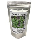ダイカンドラ 防草 福花園種苗 ダイカンドラ種子(コート種子)100mL