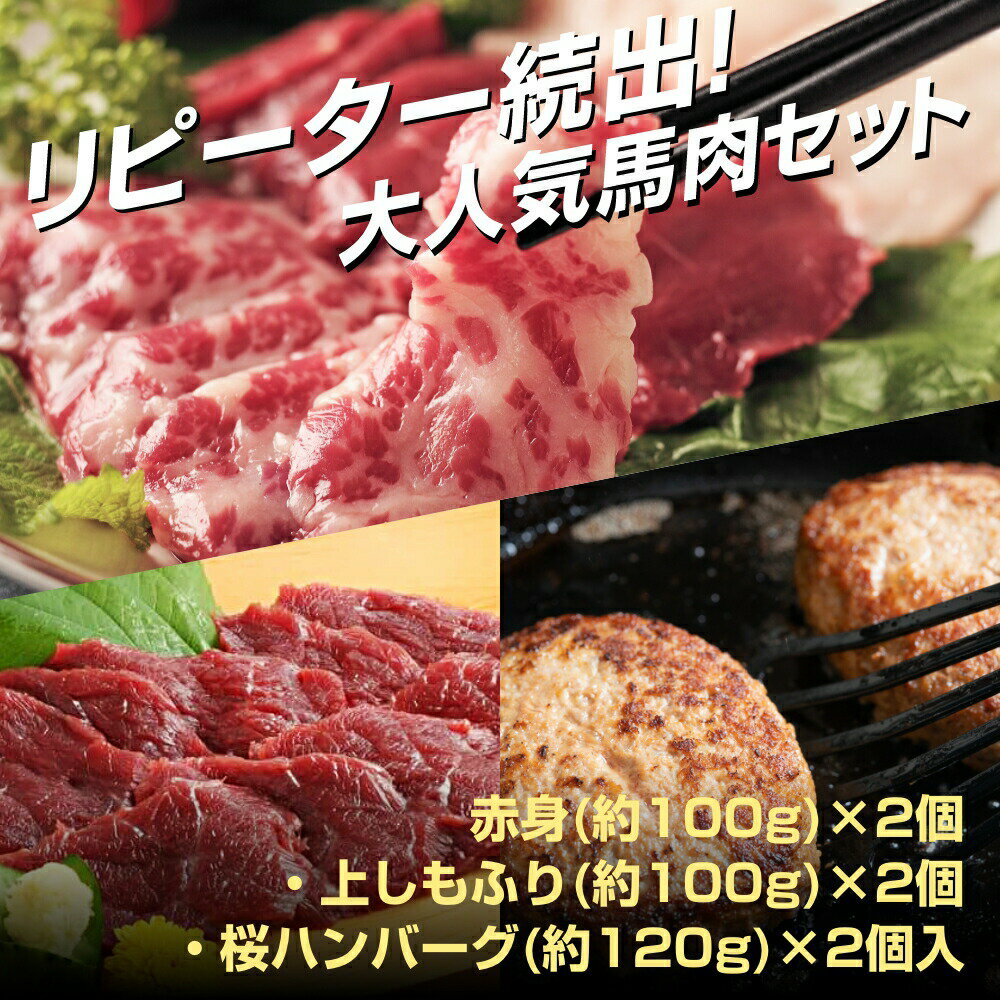 馬刺し 馬肉 赤身 しもふり ハンバーグ 桜肉 セット 小田桐産業 馬刺しセット ハンバーグ入り