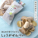 生姜せんべい ふるさと あす楽 田舎せんべい 生姜 ギフト ふるさと ギフト 菓子 和菓子 お茶菓子 お取り寄せ お取り寄せグルメ 生姜煎餅 田舎せんべい ふる...