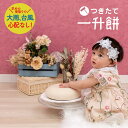 【送料無料】食紅4色付 一升餅 セット 冷凍配送なので事前準備可能 自由にお絵描き 送料無料 ギフト対応 背負い餅 1歳 誕生日 宇佐餅 うさもち ギフト 一...