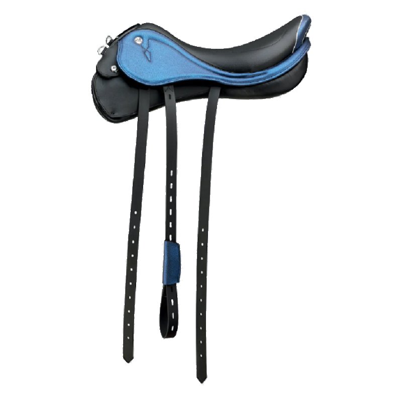 �� �ץ쥹�ơ��� �ǥ����ȥ饤�� P0026 �֥롼 17