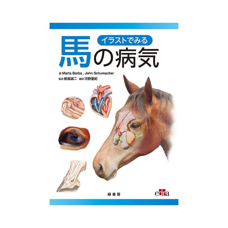 楽天プラスワイズ ホームセンター店書籍 イラストでみる馬の病気 BK029 馬術 乗馬 馬 緑書房 ボRD