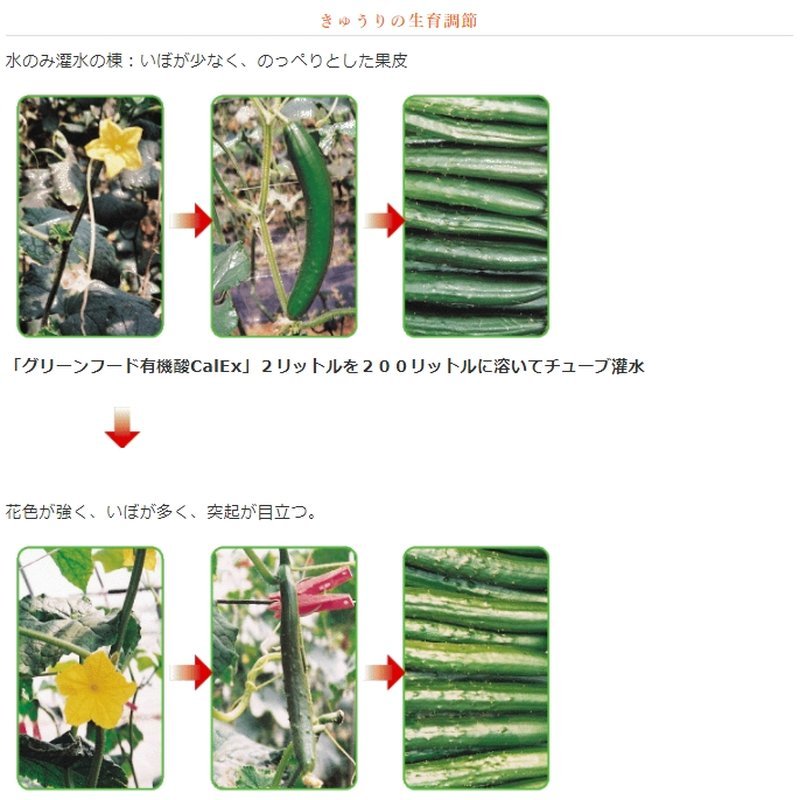 ��ʪ��˦¥�� ���꡼��ա��� ͭ����Cal EX 1L��15 ��ϫ���� �ٶ� �������� ʬ�� ���� ���� �� ��ü �Ӻ� ��˦�� ��ʬǻ�� ���� ������꡼�� ����Բ�