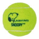 ボール 硬式テニスボール 2球入 SN-450 硬式 練習 テニス 部活動 SNOOPY スヌーピー SAKURAI サクライ貿易 SスD