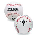 メモリアルグッズ 入魂ボールケース付 甲子園魂 BB78-02 野球 練習 部活動 サインボール サインケース UNIX ユニックス SスD