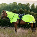 運動時に着せられる防虫馬着。 軽量でソフトなスクリムポリエステル生地で、マジックテープで簡単に閉じることができます。 鞍の周りにフィットし、ライダーの足のためにカットされたボディライン。 馬の首と肩を保護する取り外し可能なイージーオープンの...