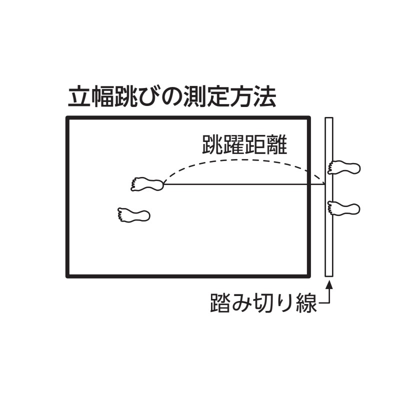 �������� ��������Ω����ķ��¬��ޥå� EKJ096 120cm��330cm��5cm ���٥�� ��ư�� ����¬�� Ω��ķ�� �ޥå� �ΰ�� ���� EVERNEW ���Х˥塼 S�� ����Բ�