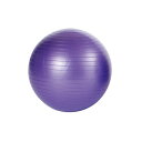 バランスボール ノンバーストバランスボール 55cm 紫 ETB601 トレーニング トレーニング用品 PVC ポンプ付 EVERNEW エバニュー Sス 代引...