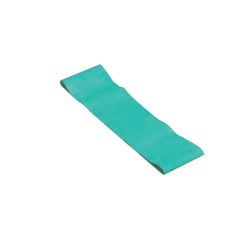 リングバンド ミディアム ETA130 30×7.7cm トレーニング トレーニング用品 緑 ラテックス EVERNEW エバニュー SスD リングバンド ミディアム ETA130 30×7.7cm トレーニング トレーニング用品 緑 ラテックス EVERNEW エバニュー SスD
