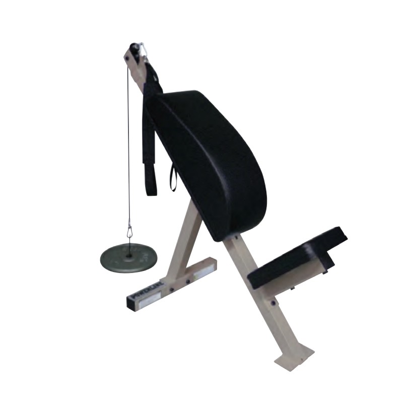 受注生産 アブベンチ ETB799 100×46×95cmトレーニング 腹筋台 EVERNEW エバニュー Sス 代引不可