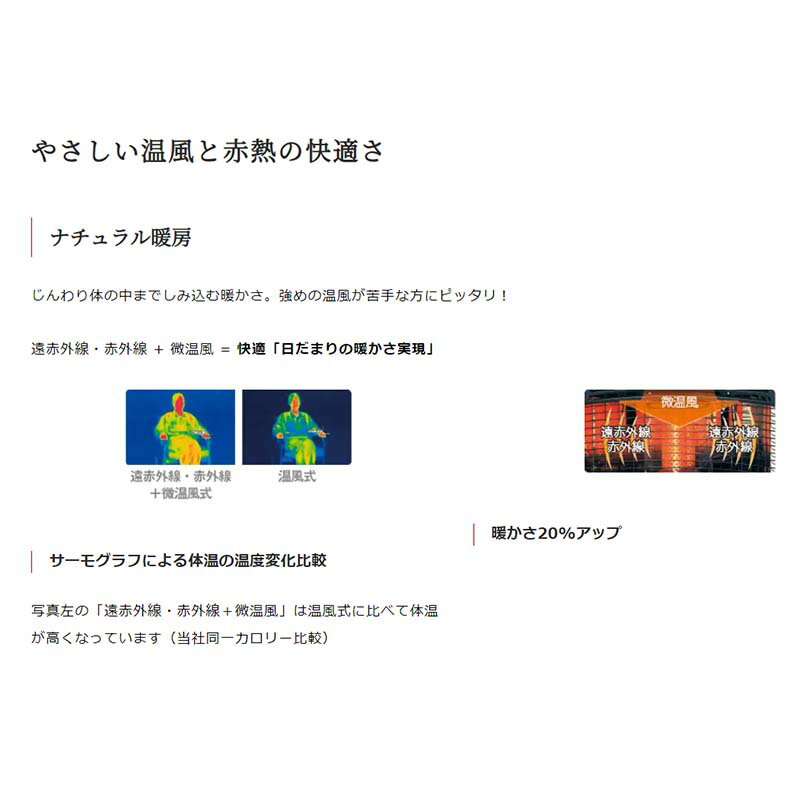 �ե���ҡ����� �����ե���ҡ����� ����ƥ�������ǥ� LR-68P �֥�å� ��˼ ��˼��� ���� ���� TOYOTOMI �ȥ�ȥ� D