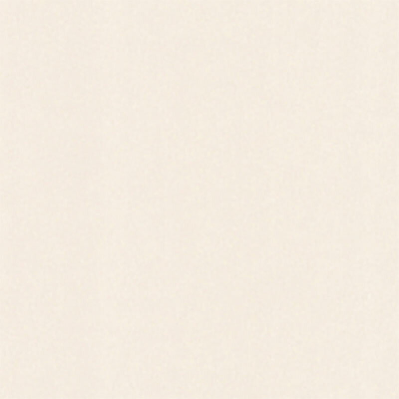 ɻ ᥿ ° ߥʥ󥹥١ CY-110 å belbien ٥ӥ ޥƥå L 츩Բ Բ