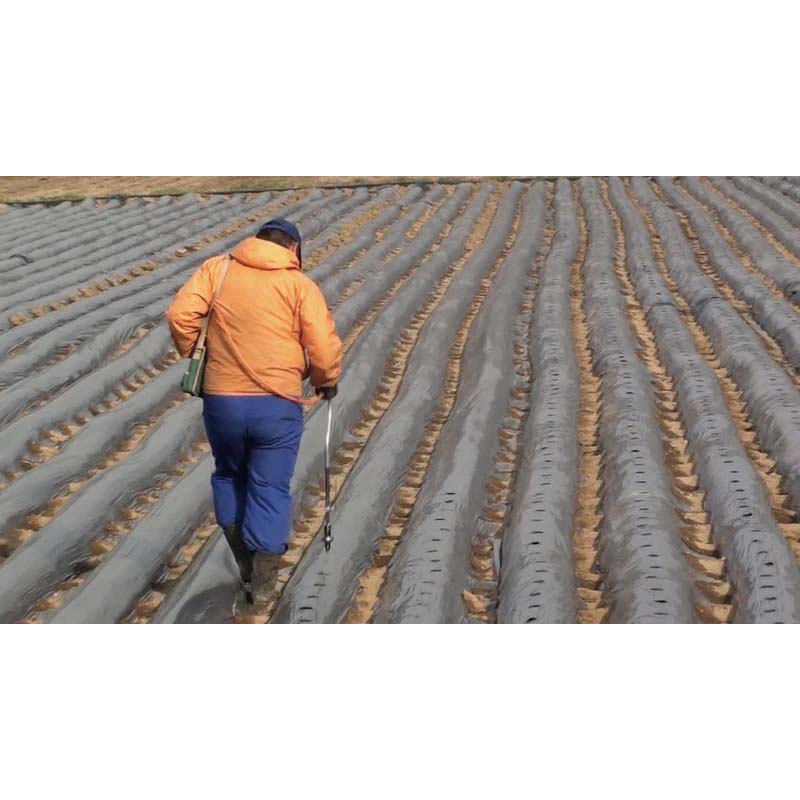 ��ƥС��ʡ� �ޥ���С��ʡ�DX MB-DX 6���å� �С��ʡ� ���� ǳ�� ��� DIY �ץ� ���ٻΥС��ʡ� ʡKD