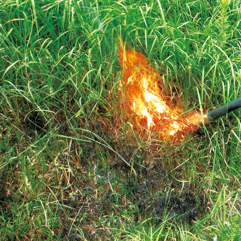 �С��ʡ� ��ƥС��ʡ� KB-200 6�ĥ��å� �и���50mm ������ ��Ƥ� �����ȥɥ� DIY �����ǥ˥� �� �ץ� ���� ���� ���ٻΥС��ʡ� ʡKD