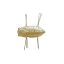 MUSHIIIIN 1.25 IMW イモムシホワイト 5個入 ルアー ミノー 釣り フィッシング サーフフローティング Floating ジャクソン jackson 福KD 送料無料 メール便