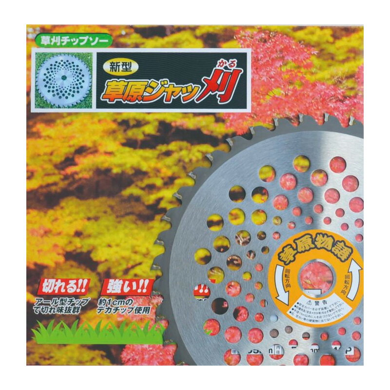 チップソー 草原ジャッ刈 チップソー 255mm×40P 箱 RC-5012 草刈 除草 刈払機 中国製 アーレスプラン ..