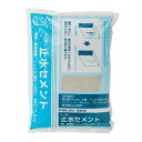 セメント 止水セメント 1.3kg×15袋セット 5245 止水 修理 補修 穴埋め 速乾 時短 トーヨーマテラン 車上渡し 個人宅配送不可 代引不可