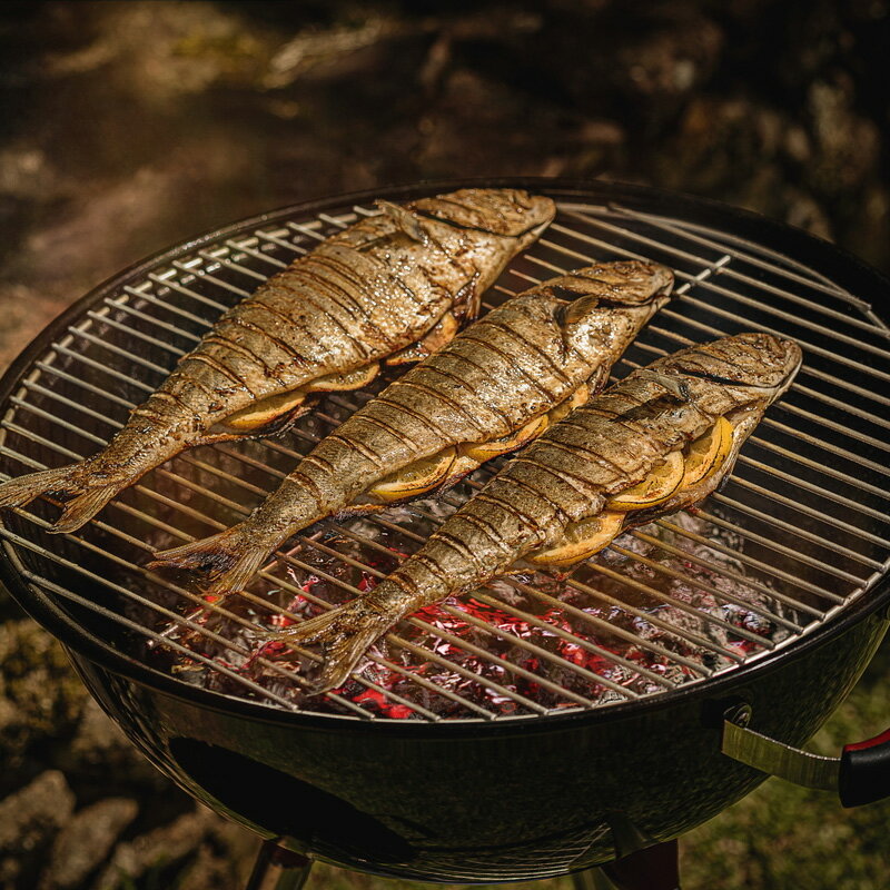 �С��٥��塼����� ���ե��� ú����BBQ����� ��&���㥹������ TCP-560L 26500/011 �С��٥��塼 BBQ ����饹�� �ȥ���ƥ����� ʡKD