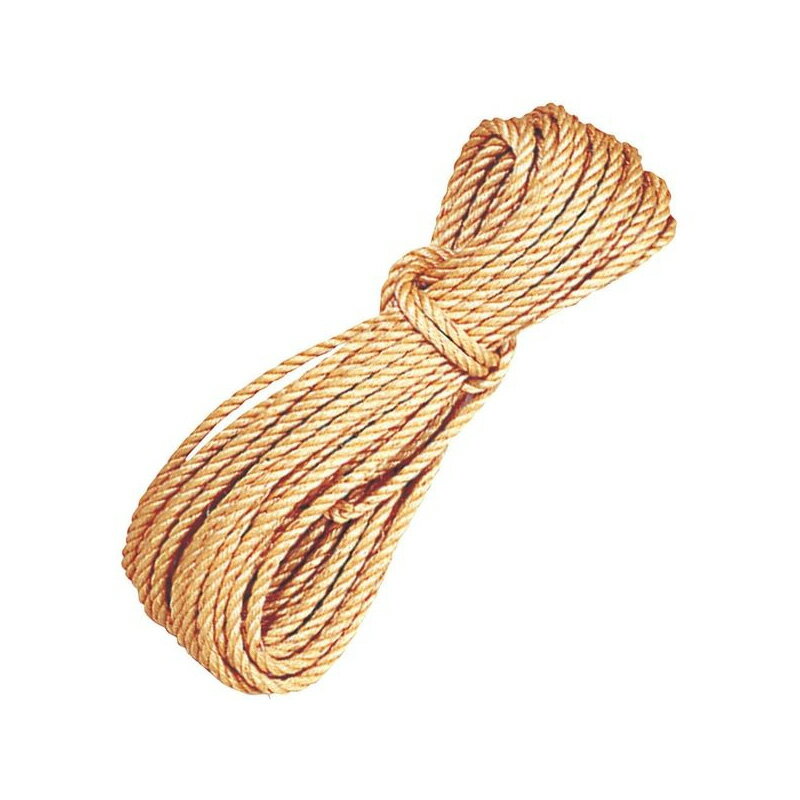 ロープ マニラトラックロープ 12mm×20m 03522 トラックロープ 紐 ヒモ ひも 綱 八ツ矢工業 金T 個人宅配送不可 代引不可