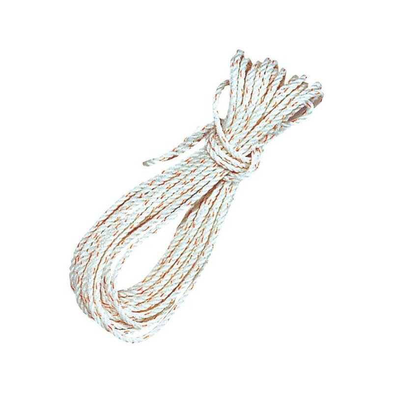 ロープ PPトラックロープ 10mm×20m 03556 30本セット PP トラックロープ 紐 ヒモ ひも 綱 八ツ矢工業 金T 個人宅配送不可 代引不可