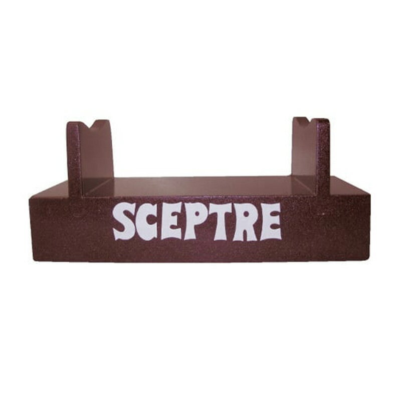 ラグビーボール ボール台 SP-12 5号用 サイン用 寄書き 卒業 引退 ボール SCEPTER セプター SスD