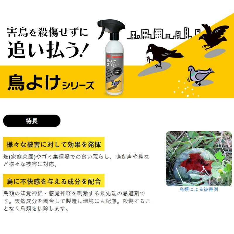 ����� Ļ�����򤱥ƥ����꡼�� ������ ���饹 ȷ�� 50cm��3cm 4������5���å� �ϥ� ���饹 ����Ļ�� ���� �ɻ� ���� �ꤹ�� ��Ļ �˥å��祦���� ��M ����Բ�