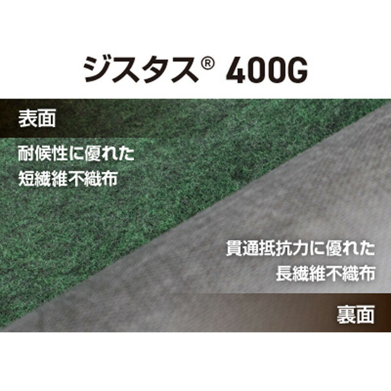 ���𥷡��� �������� 400G XYSTUS1.0D ��1m��Ĺ��50m 3�����å� ����ǯ�� 10ǯ ˽Ϫ���� ������ ���꡼��ե������ ��B �Ŀ��������Բ� ����Բ�