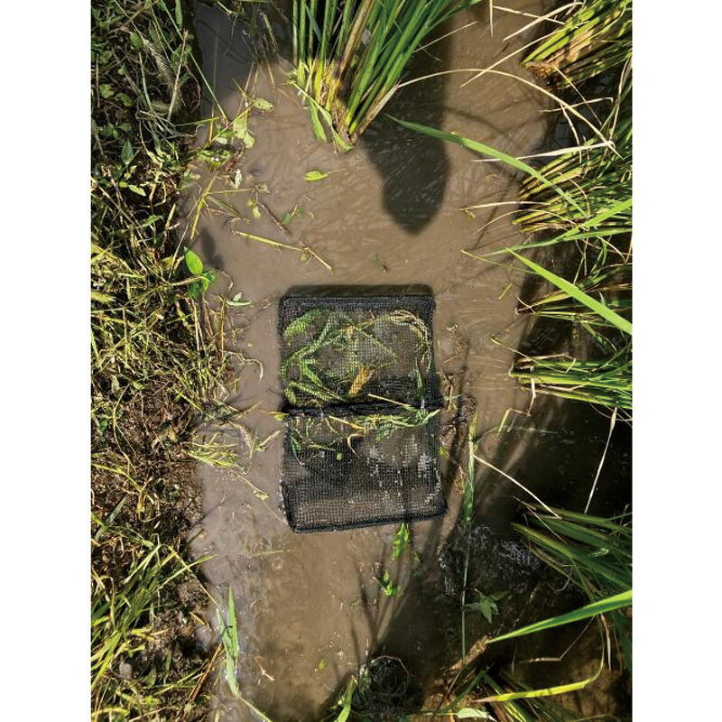 �ų��� ���ꥬ�� ���˥��������硪MD-2330 60�ĥ��å� �ųݤ� �ͥå� �����ܥ��˥� �� � ��� ���� ������� ����D