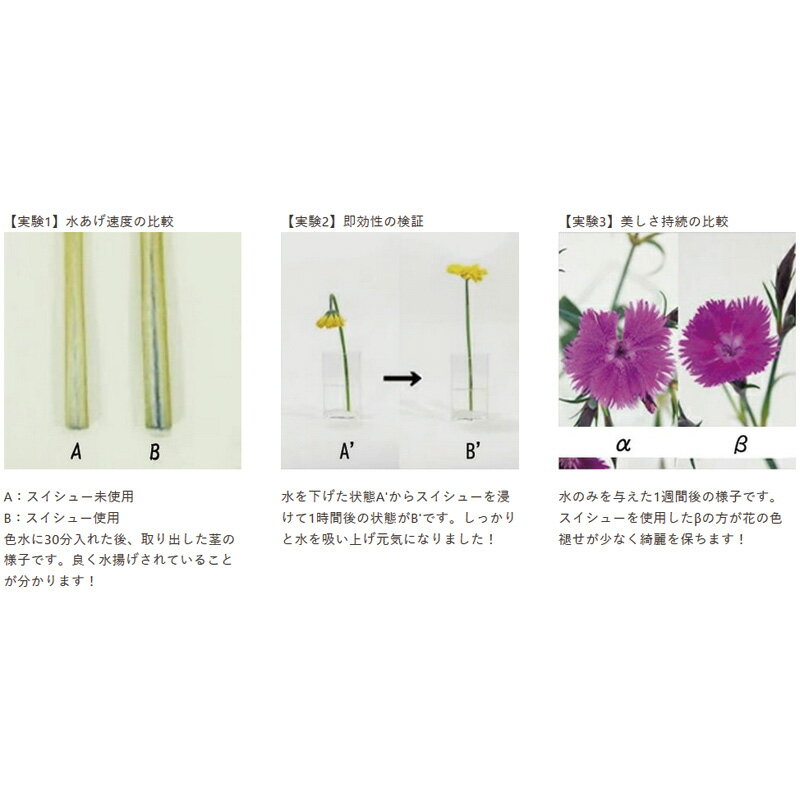 液肥 切花水揚げ剤 スイシュー 5L 殺菌作用 水揚げ フラワー 花 花屋 日本華道社 ...